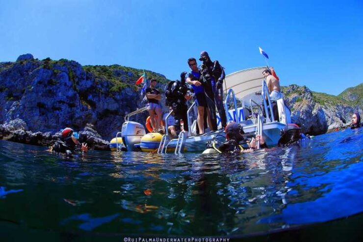 Sesimbra: Scuba Diving Experience for Beginners - Good To Know