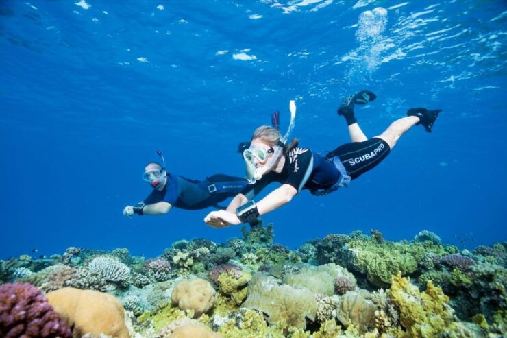 Sesimbra: Snorkeling in the Ocean - Activity Details