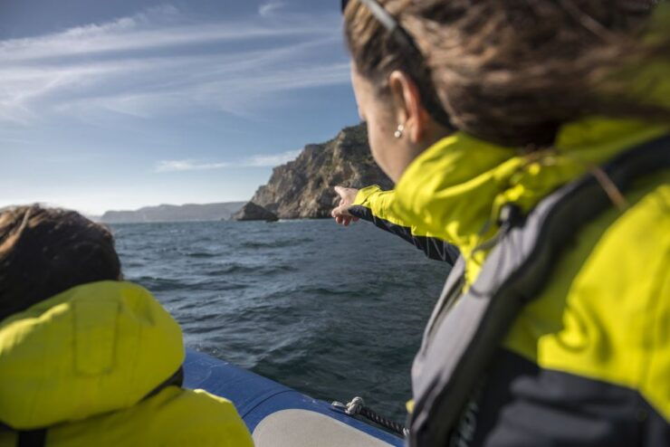 Sesimbra: Speedboat Tour of Arrabida Natural Park - Activity Details