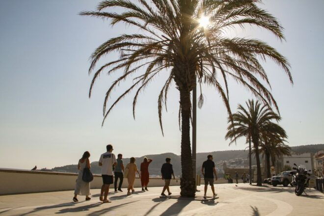 Sesimbra Walking Tour - Experience Overview