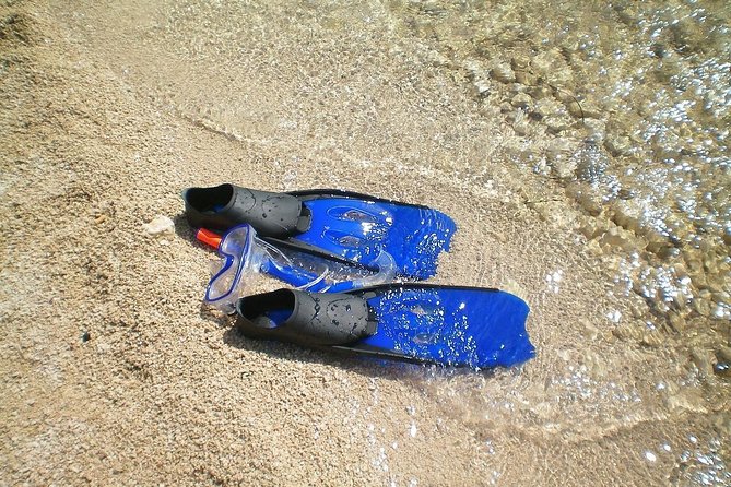 Sesimbra Wild Beach Tour From Lisbon - Common Questions