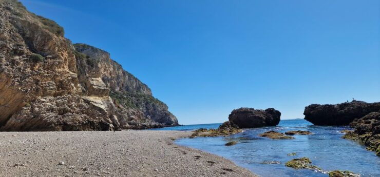 Sesimbra: Wild Beaches and Caves Boat Tour - Highlights