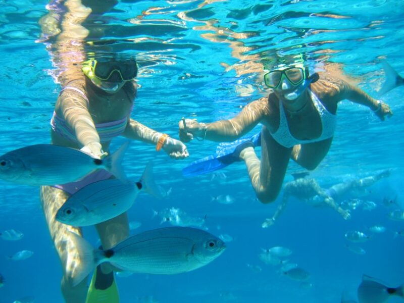 SEspalmador and Formentera: Snorkeling Trip by RIB Boat - Good To Know
