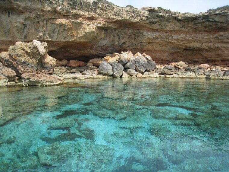 SEspalmador and Formentera: Snorkeling Trip by RIB Boat - Customer Feedback and Safety Information