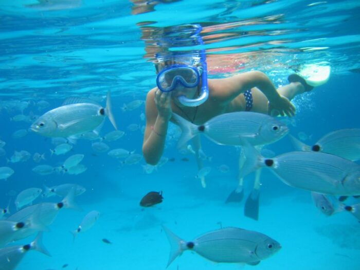 SEspalmador and Formentera: Snorkeling Trip by RIB Boat - Exploring Isla De Espalmador