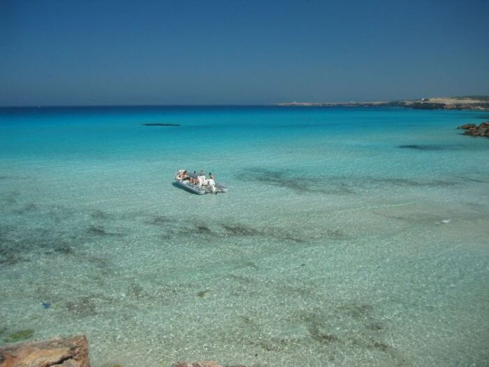 SEspalmador and Formentera: Snorkeling Trip by RIB Boat - Discovering Cova Rosa and Cala Saona