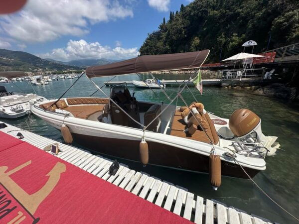 SESTRI LEVANTE: BOAT RENTAL, DAILY CRUISES - Boat Options
