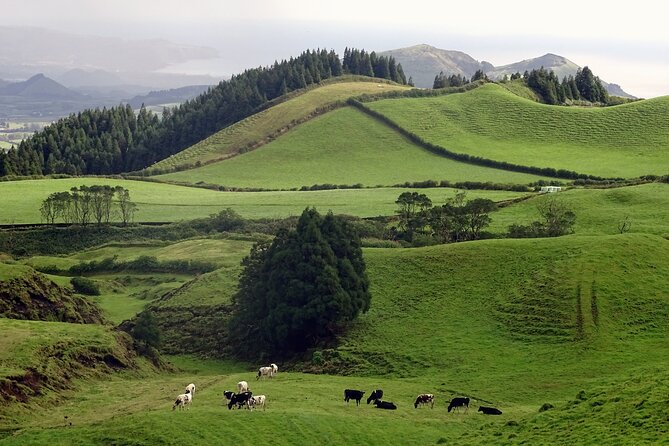 Sete Cidades by Van (Half Day) - Traveler Photos and Reviews
