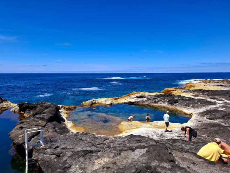 Sete Cidades & Fire Lake: Full-Day Tour with Pineapple plant - A Practical Look at the Tour Experience