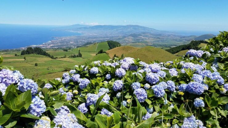 Sete Cidades - Half Day Tour - Tour Highlights