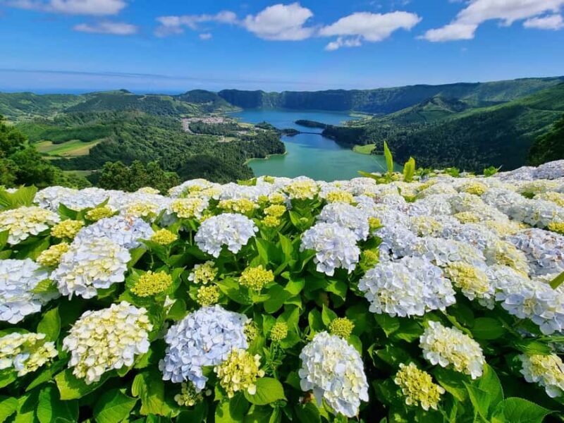 Sete Cidades / Lagoa do Fogo - Full Day Tour - What to Expect from the Tour
