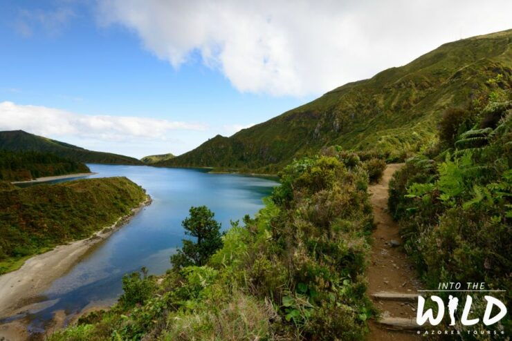 Sete Cidades & Lagoa Do Fogo - Full-Day Tour - Booking and Reservation