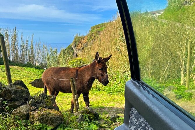 Sete Cidades Lakes - Off Road Tour - Tour Overview