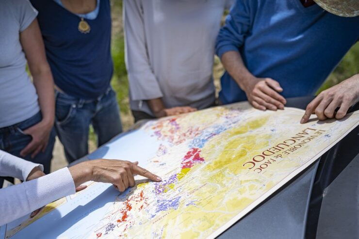 Sète: Private Half–Day Wine Tour - Activity Details