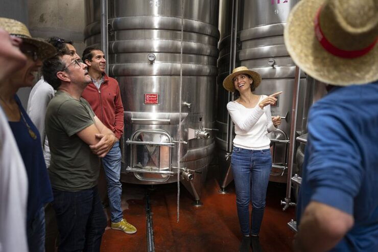 Sete: Private Wine and Oyster Tour With Tastings - Cancellation Policy