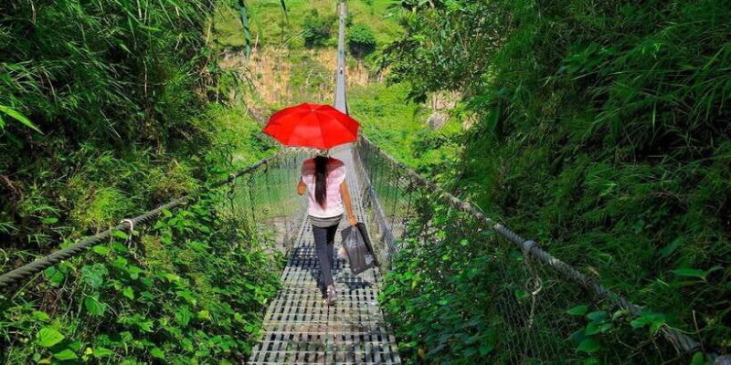Seti George and Thrilling Suspension Bridge Tour at Pokhara - What to Expect from the Tour