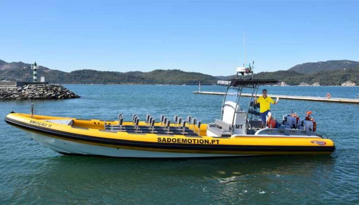 Setúbal and Tróia: Dolphin Watching and Arrábida Bays - Itinerary and Highlights
