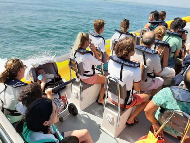 Setúbal and Tróia: Dolphin Watching and Arrábida Bays - Boat and Accessibility