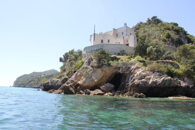 Setúbal and Tróia: Dolphin Watching and Arrábida Bays - Live Guide Experience