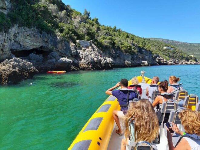 Setúbal and Tróia: Dolphin Watching and Arrábida Bays - Tour Pricing and Inclusions