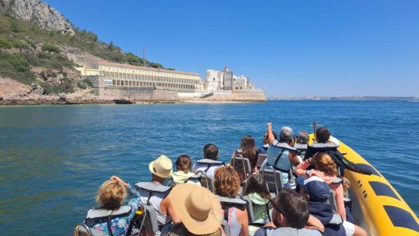 Setúbal and Tróia: Dolphin Watching and Arrábida Bays - Meeting Points and Recommendations