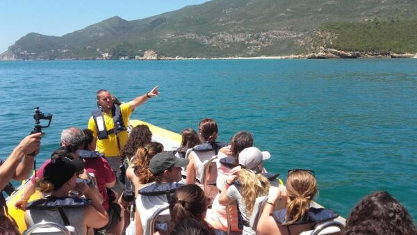 Setúbal and Tróia: Dolphin Watching and Arrábida Bays - Cancellation and Rescheduling