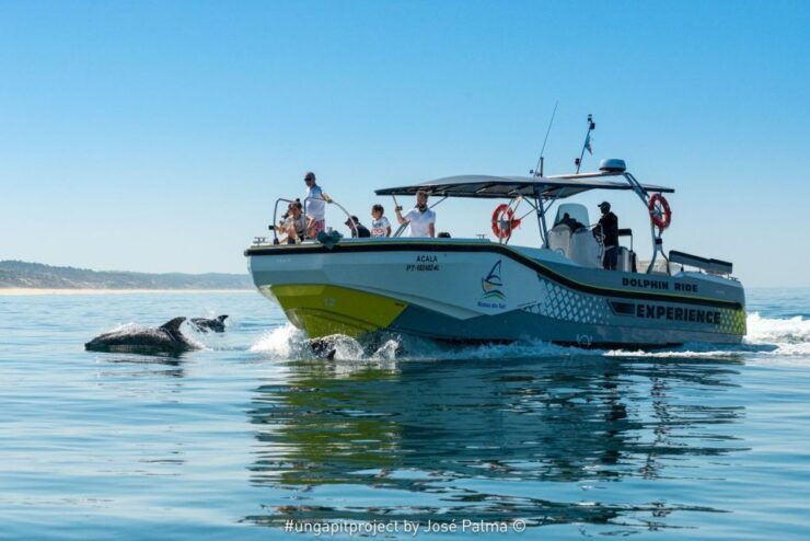 Setúbal: Dolphin Watching - Tour Details