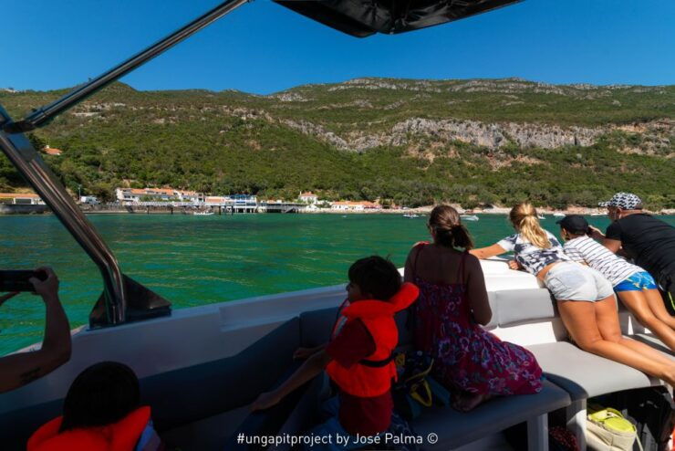 Setúbal: Dolphin Watching - Booking Information