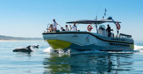 Setúbal: Dolphin Watching - Embarking Places