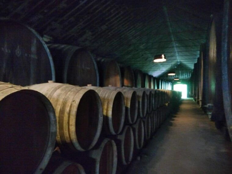 Setúbal: Market, Tiles and Wine (From Lisbon) - The Value of This Tour