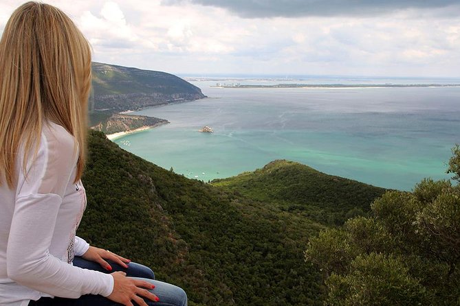 Setúbal Private Full Day Wine Tour With Tasting and Lunch at the Beach - Tour Highlights