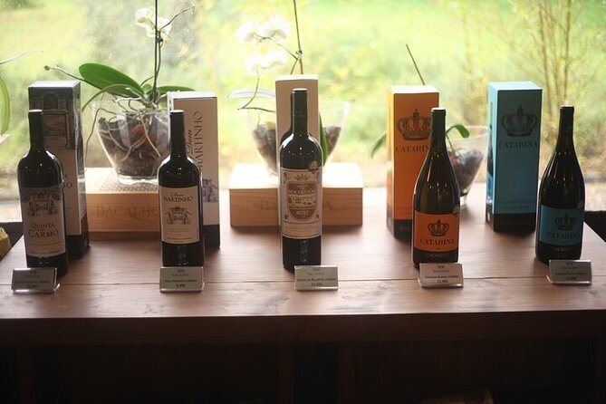 Setubal Private Wine Tour, Food Tasting, Beaches, Palaces and Art - Coastal Exploration