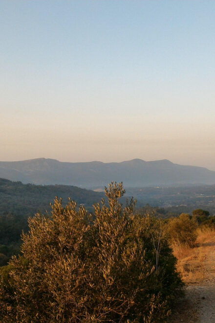 Setúbal: Romantic Picnic Sunset Wine Experience - Inclusions