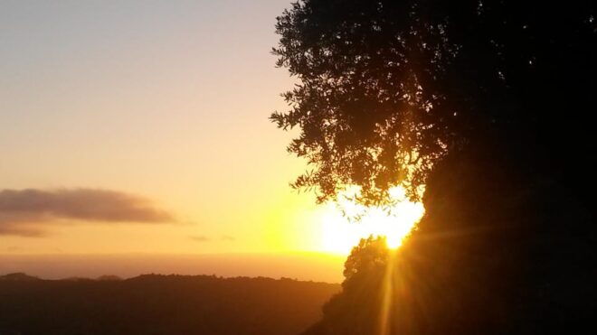 Setúbal: Romantic Picnic Sunset Wine Experience - Suitability and Restrictions