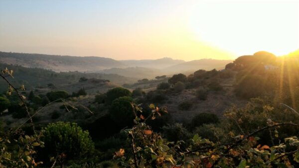 Setúbal: Romantic Picnic Sunset Wine Experience - Smoking Policy