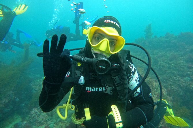 Setubal Small-Group Intro to Scuba Diving  - Setubal District - Small Group Setting With Certified Instructor