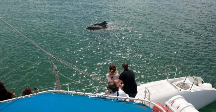 Setubal & Tróia: Sado Estuary Dolphin Watching Boat Trip - Tour Duration and Availability