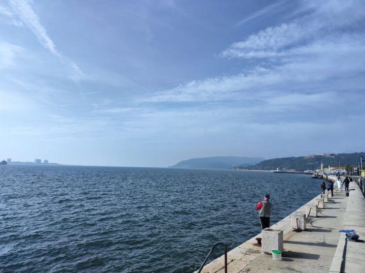 Setúbal Walking Tour With Gastronomic Tasting - Experience and Itinerary