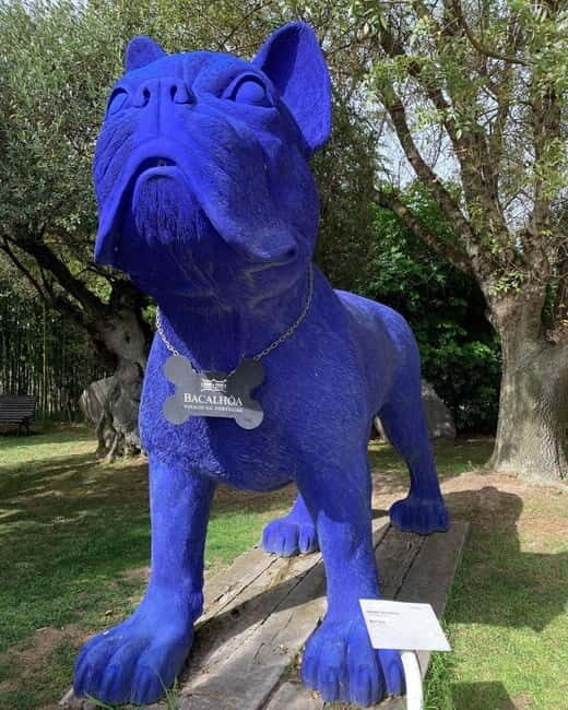 Setúbal Wine Tour: Discover the Moscatel Wine - Frequently Asked Questions