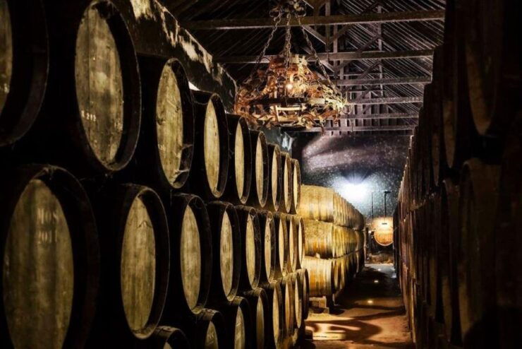 Setúbal Wine Tour: Discover the Moscatel Wine - Experience Description