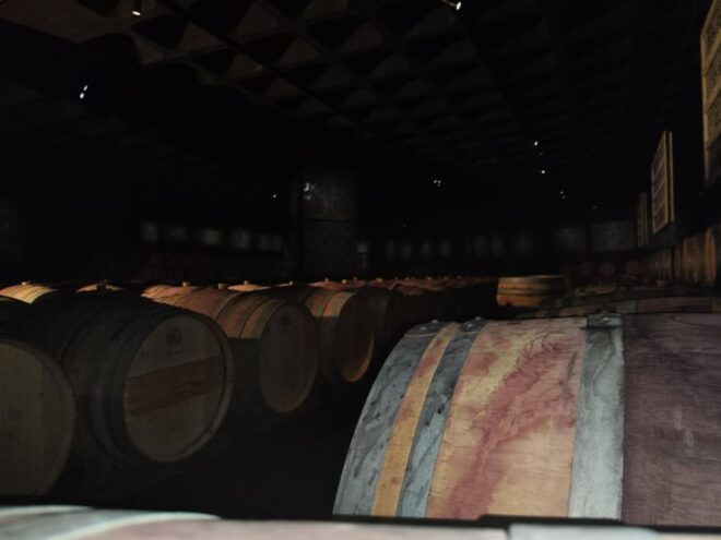 Setúbal Wine Tour: Discover the Moscatel Wine - Additional Information