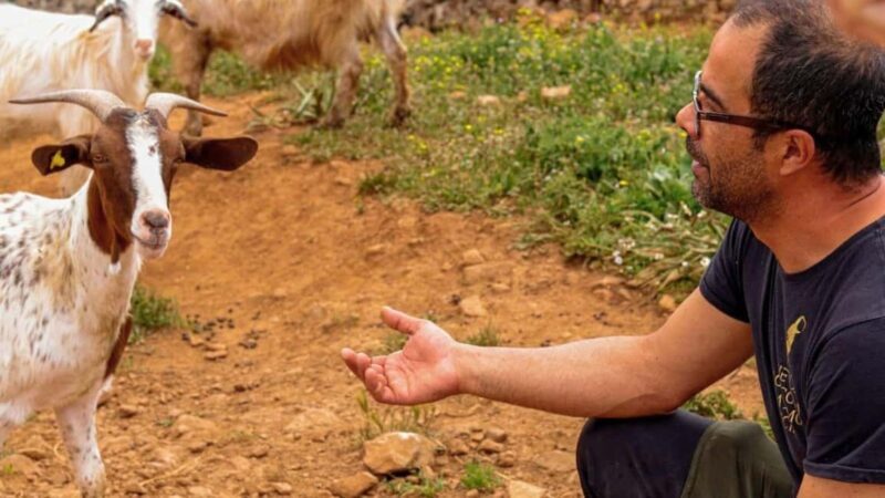 Seulo: Farm Tour with Local Product Tasting - Discover Sardinian Farming on the Seulo Farm Tour with Tasting