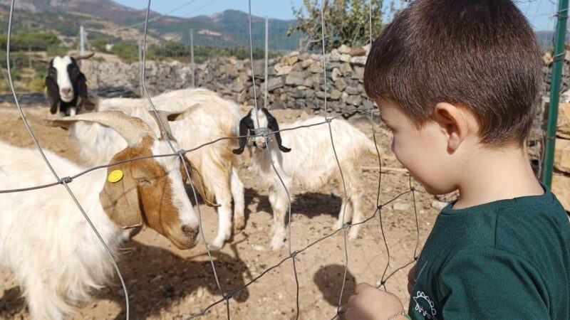 Seulo: Farm Tour with Local Product Tasting - Good To Know