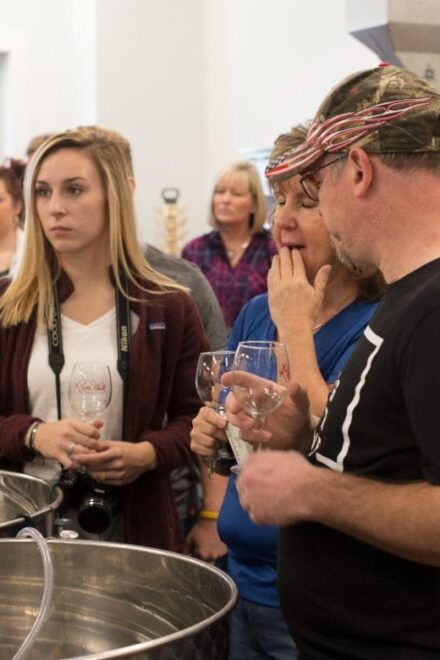 Seven Birches Winery - Meet the Winemakers Winery Tour - Accessibility and Highlights