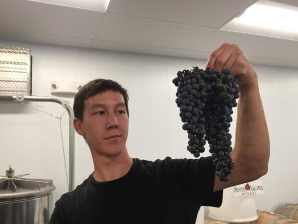 Seven Birches Winery - Meet the Winemakers Winery Tour - Frequently Asked Questions