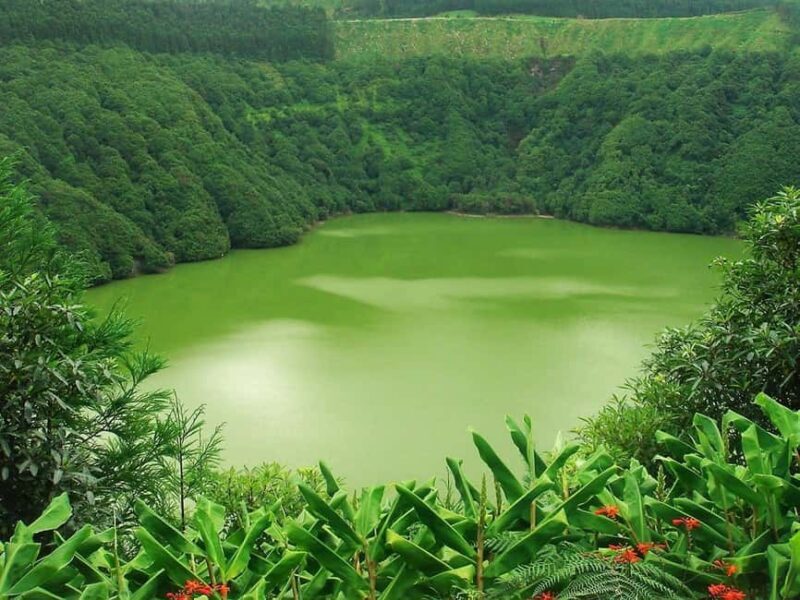 Seven Citys Tour: Sete Cidades Crater Lake Shore Excursion - What Sets This Tour Apart?