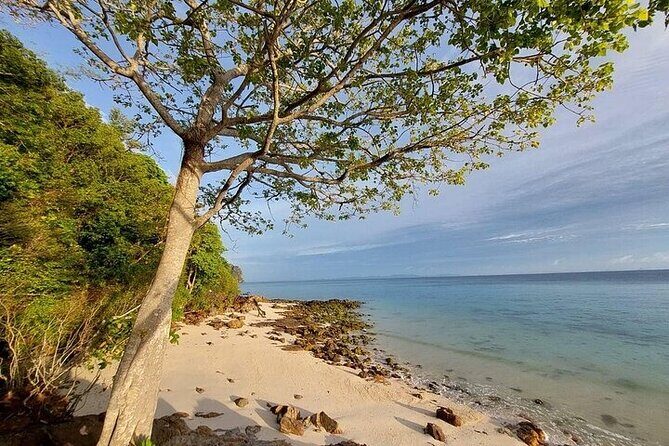 Seven Islands Sunset Tour with Dinner & Snorkelling by speedboat - The Bottom Line