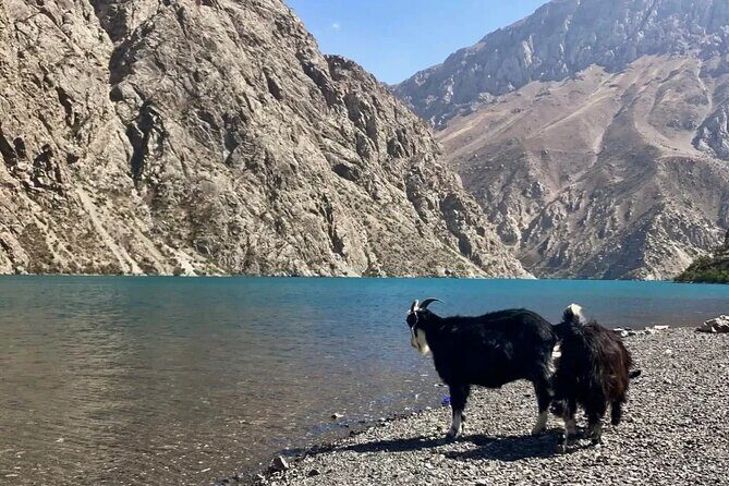 Seven Lakes Panjakent: One-Day Adventure from Samarkand - Frequently Asked Questions