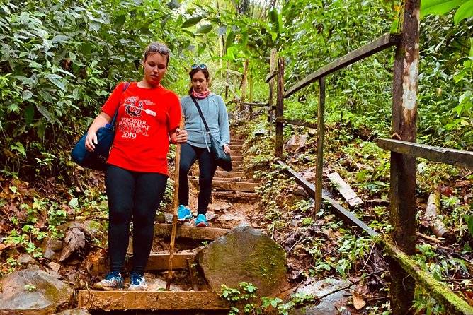 Seven Sisters Falls Hike / Annandale Falls / Grand Etang National Park & Lake - Spotting Mona Monkeys - Wildlife Encounters