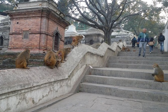 Seven UNESCO World Heritage Sites Day Tour of Kathmandu Velley - Swayambhunath Temple